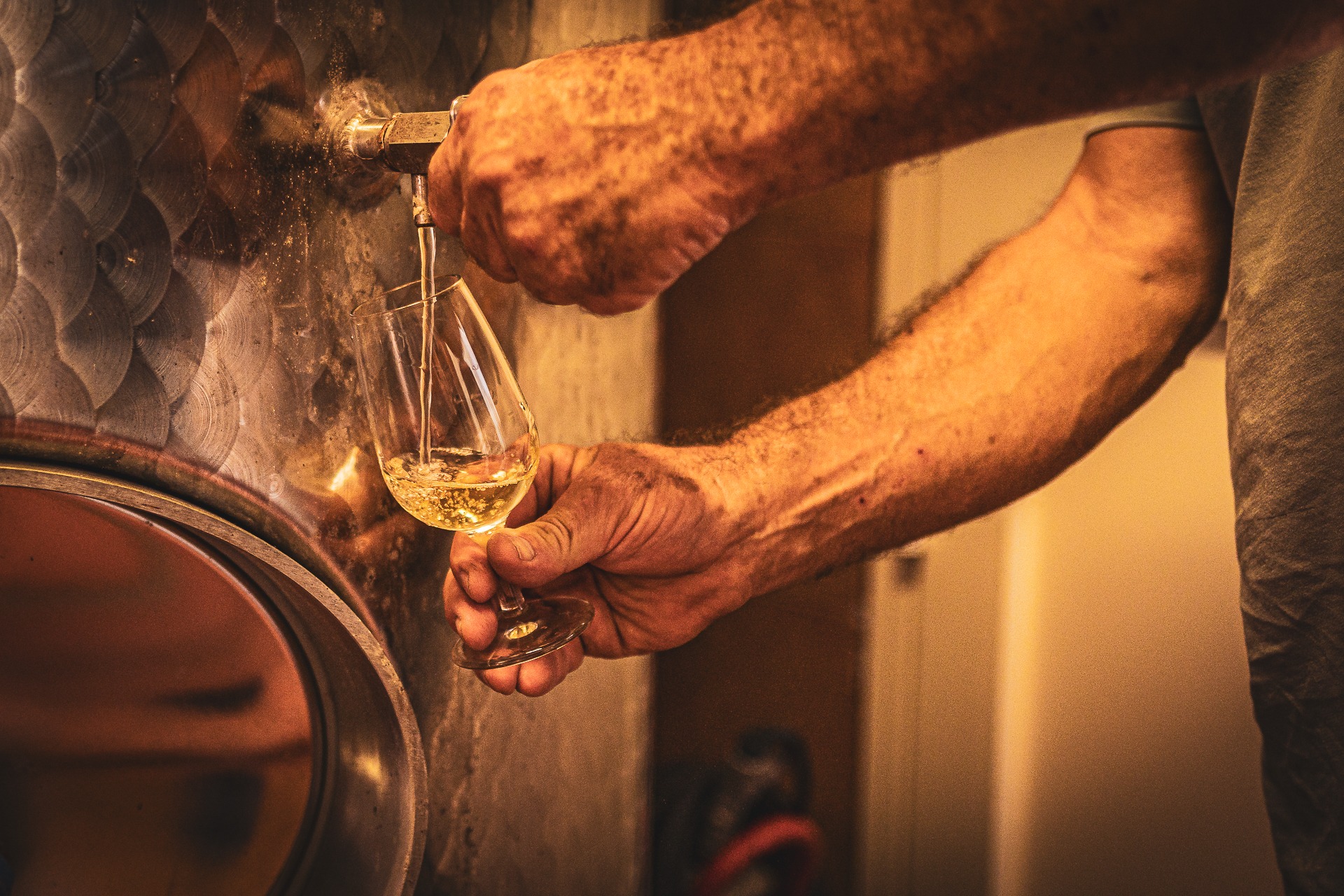 Controllo di qualità del vermentino nella cantina Luca Deiana